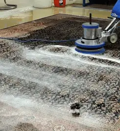 Professional rug cleaning with a rotary floor machine and shampoo foam, deep-cleaning an area rug Baton Rouge, LA.